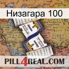 Низагара 100 12